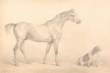 Porträts eines grauen Pferdes und eines schwarz-weißen Spaniels, Eigentum des ehrenwerten C. Arbu...